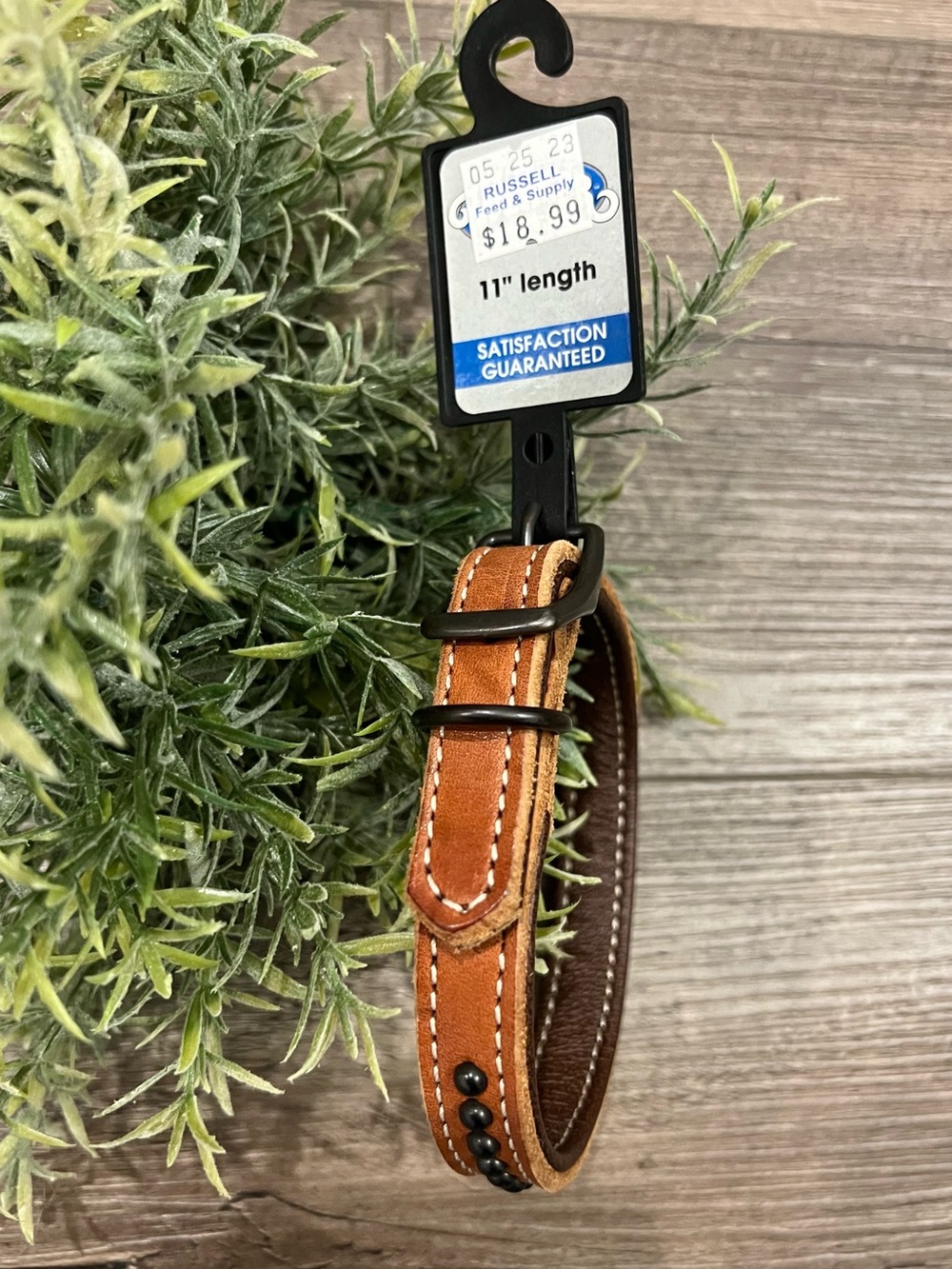 Outlaw Collection NWT Tan Leather‎ Studded 5/8 11 Inch Dog Collar